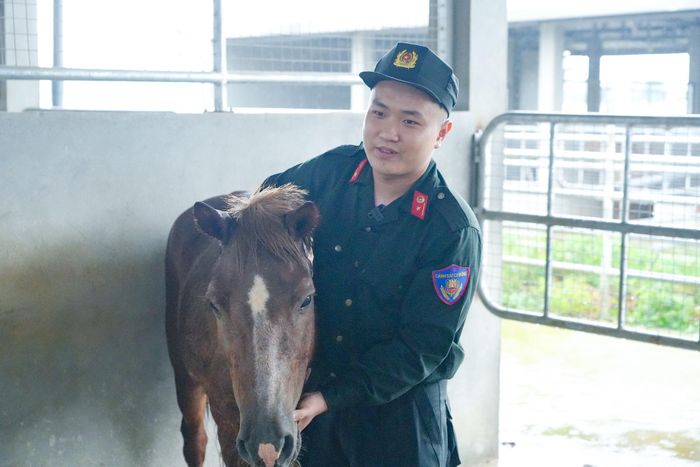 Chú ngựa tên Red và Trung úy Nguyễn Phi Hải, Đội 3, Đoàn CSCĐ Kỵ binh bịn rịn bên nhau trước giờ chia tay.