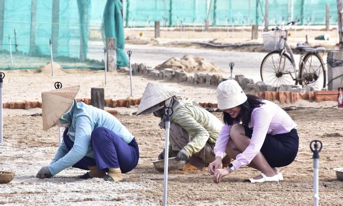Sản xuất hành, tỏi một trong những thế mạnh của đặc khu Lý Sơn.