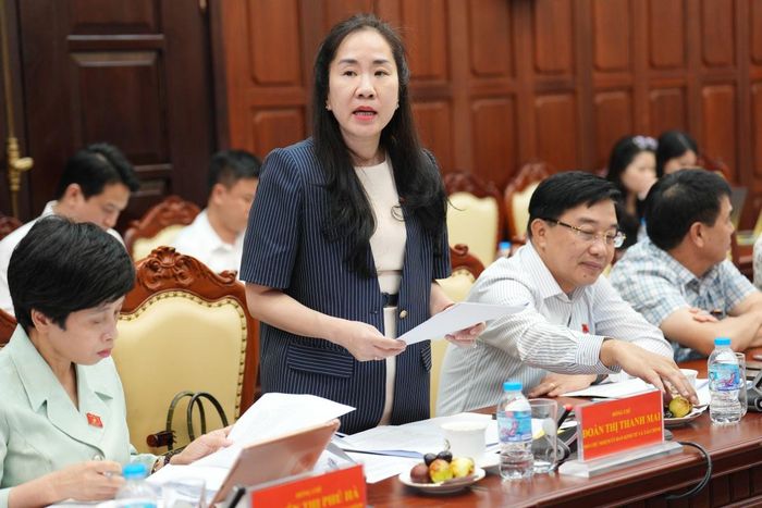 Phó Chủ nhiệm Ủy ban Kinh tế và Tài chính Đoàn Thị Thanh Mai phát biểu tại buổi làm việc