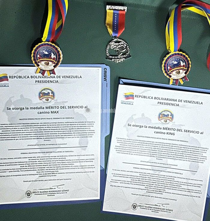  King và Max vinh dự được Chính phủ Venezuela trao tặng danh hiệu “Anh hùng Chó nghiệp vụ Venezuela” (Héroes Caninos de Venezuela). 