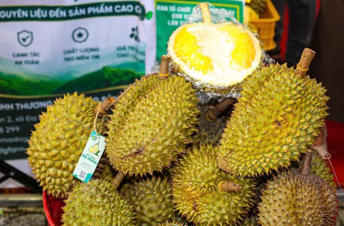 Sầu riêng Đạ Huoai nổi tiếng thơm ngon.