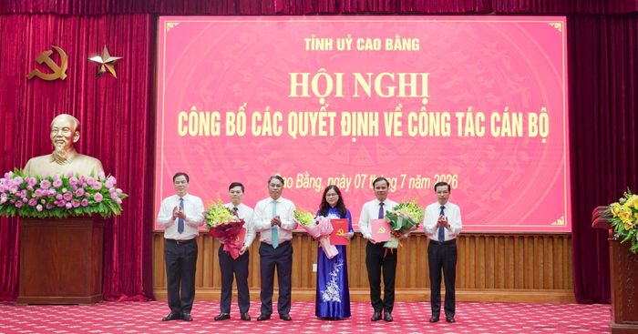 Thường trực Tỉnh ủy trao các quyết định về công tác cán bộ.