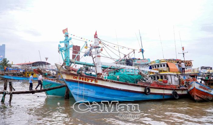 Khai thác biển là lĩnh vực đóng góp quan trọng vào phát triển kinh tế và tạo việc làm cho lao động trên địa bàn tỉnh.