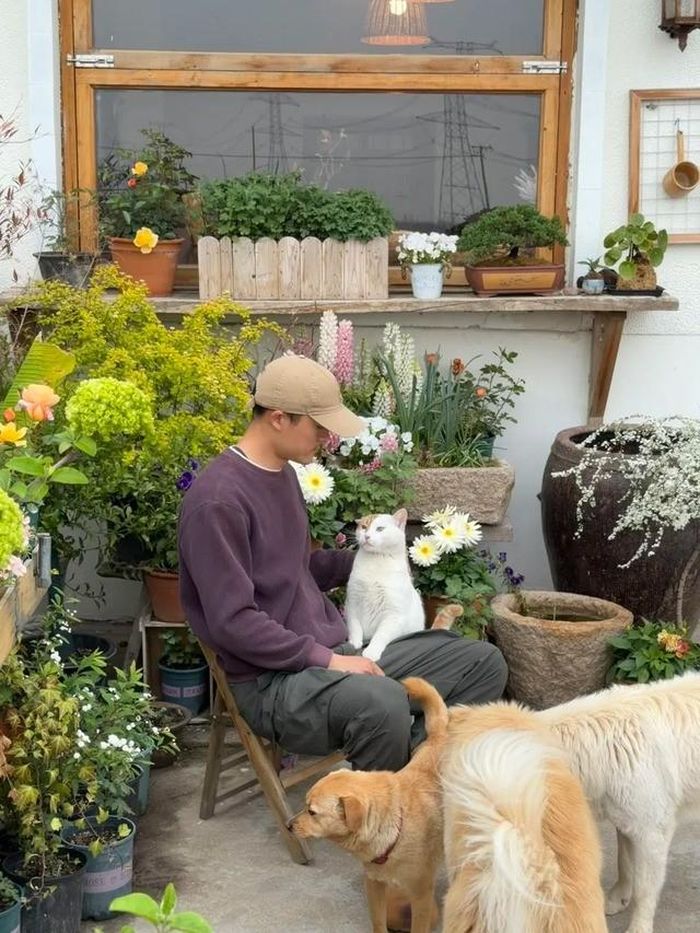 Khung cảnh bình yên mà ai cũng ao ước khi rời phố về quê.