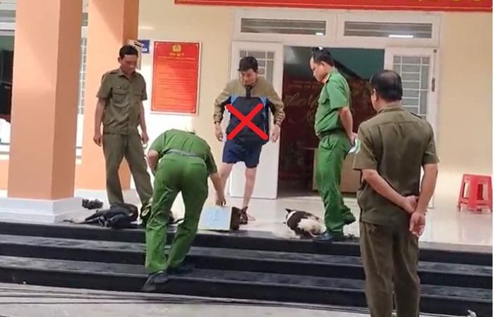 Thanh niên trộm chó trên đường chở đi tiêu thụ đã va chạm giao thông, bị bắt giữ.