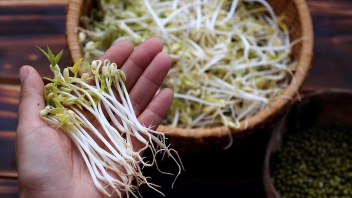 Giá đỗ, đặc biệt là giá sống, có nguy cơ chứa vi khuẩn như E.coli hoặc Salmonella nếu không được trồng và bảo quản đúng cách. Ảnh minh họa.