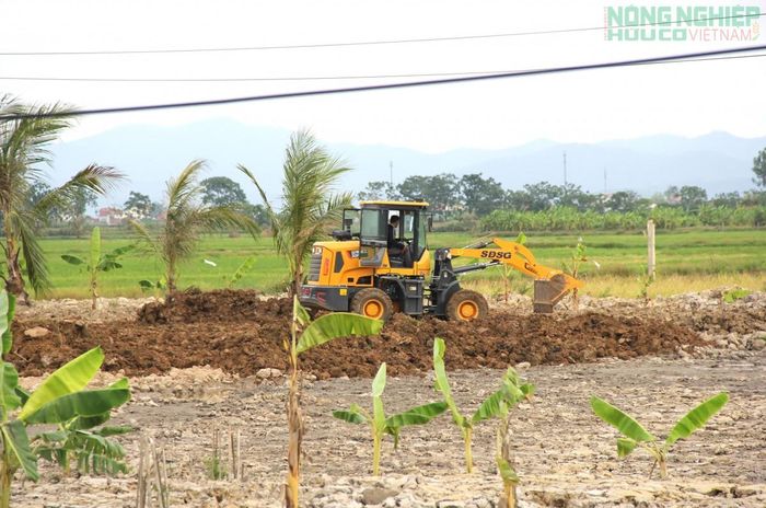 Gia đình vẫn ngang nhiên san lấp, bất chấp chính quyền địa phương đã lập biên bản, yêu cầu hoàn trả mặt bằng.