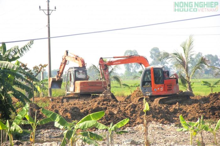 Các phương tiện tất bật san lấp.