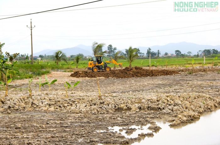 Vị trí khu đất nông nghiệp nằm sát Quốc lộ 7B, tuy nhiên hộ dân vẫn ngang nhiên san lấp trái phép.