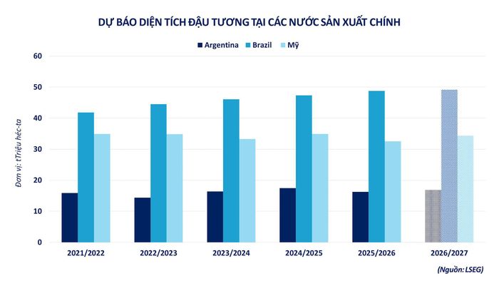 Dự báo diện tích đậu tương tại các nước sản xuất chính. Nguồn: MXV