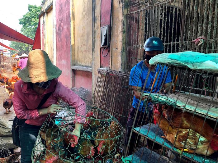 Việc triển khai mô hình quản lý an toàn thực phẩm tại các chợ đầu mối cho thấy hướng đi đúng trong xây dựng chuỗi cung ứng nông sản minh bạch, an toàn. Ảnh: PV