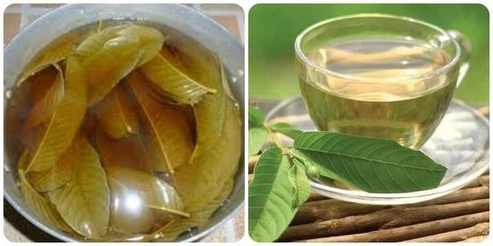 Người dùng không được nấu nước quá đặc hoặc thay thế hoàn toàn cho nguồn nước lọc tự nhiên của cơ thể.