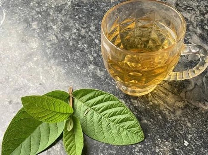Việc sử dụng lá của cây ổi để đun nước uống hàng ngày là một phương pháp chăm sóc sức khỏe rất tốt.