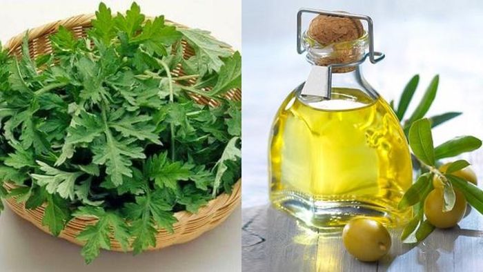 Sử dụng tinh dầu ngải cứu kết hợp với dầu oliu theo tỉ lệ 1:2. Thoa hỗn hợp này lên vết sẹo, để qua đêm.