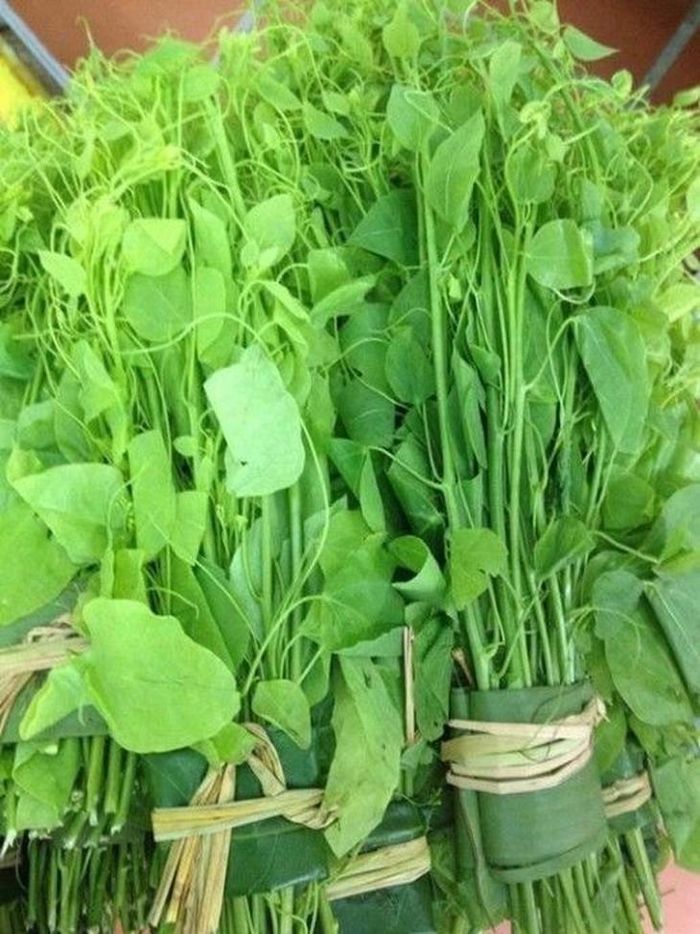 Rau bò khai có tác dụng thanh nhiệt, lợi tiểu.