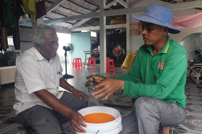 Ông Lâm Thu người có uy tín tham quan mô hình sản xuất của hộ dân trên địa bàn. Ảnh CTV