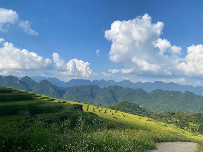 Với lợi thế cảnh quan nguyên sơ, khí hậu dễ chịu và văn hóa bản địa giàu bản sắc, Pù Luông đang có nhiều điều kiện để phát triển theo hướng nghỉ dưỡng chất lượng cao