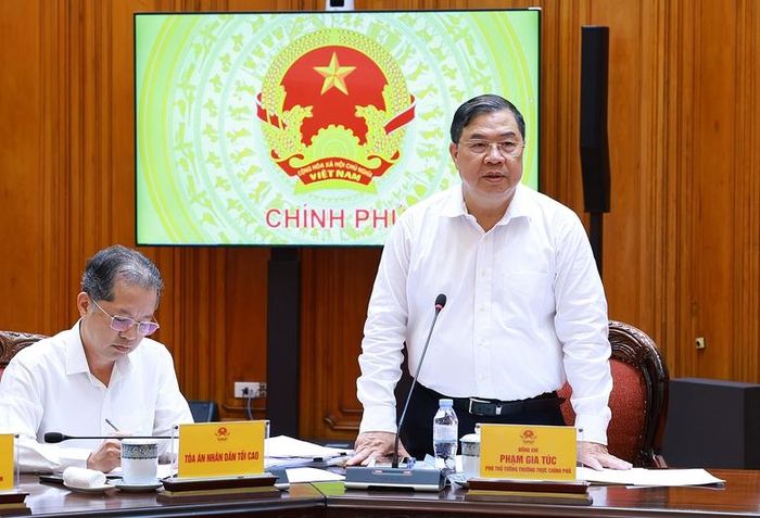 Phó Thủ tướng Thường trực Chính phủ Phạm Gia Túc phát biểu tại phiên họp - Ảnh: VGP/Nhật Bắc