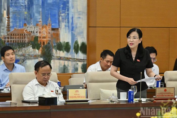 Chủ nhiệm Ủy ban Khoa học, Công nghệ và Môi trường của Quốc hội Nguyễn Thanh Hải phát biểu tại phiên họp.