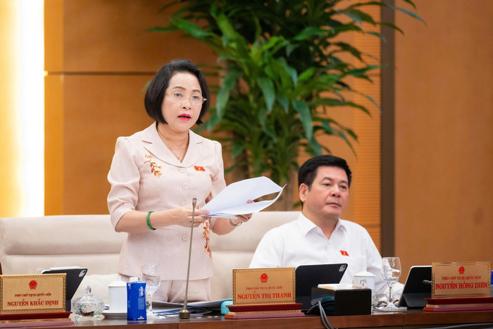 Phó chủ tịch Quốc hội Nguyễn Thị Thanh phát biểu.