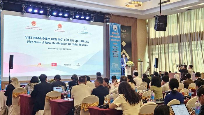  Các đại biểu tham dự hội nghị 