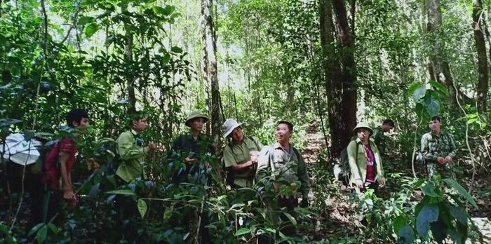 Công tác tuần tra, kiểm soát được duy trì thường xuyên để bảo vệ diện tích rừng được giao quản lý.