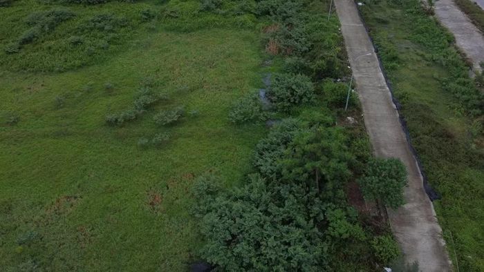 Hơn một thập kỷ, dự án du lịch vẫn chỉ là bãi đất cỏ mọc um tùm.