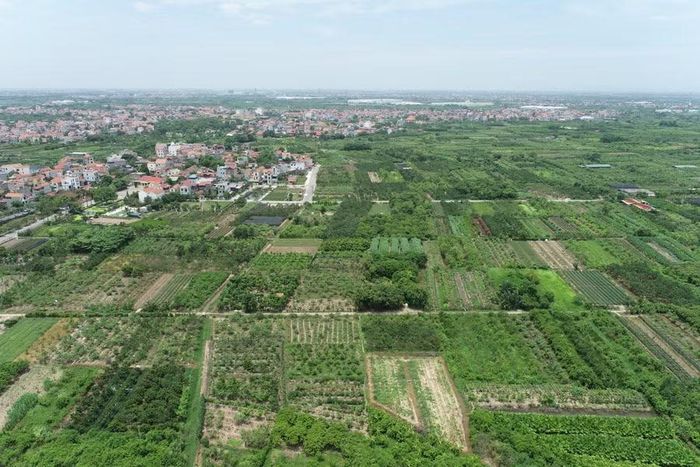 Trường THPT Nghĩa Trụ được xây dựng trên khu đất rộng gần 4,79 ha, thuộc Thôn Long Hưng, xã Nghĩa Trụ, tỉnh Hưng Yên.