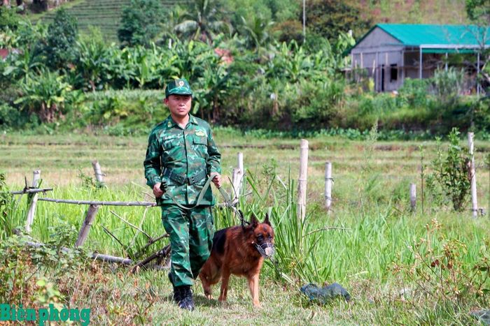 Huấn luyện viên cùng chó nghiệp vụ tăng cường tuần tra, kiểm soát khu vực biên giới, bảo đảm an ninh, an toàn cho Chương trình Giao lưu. Ảnh: Chiến Khu