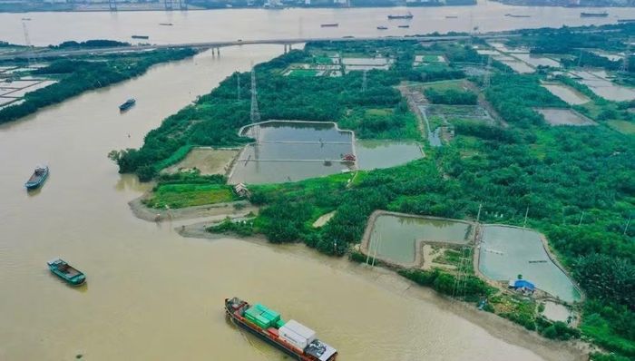 Sông Soài Rạp nhìn từ trên cao.