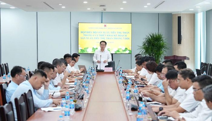 Phó Tổng giám đốc Tập đoàn Nguyễn Huy Nam phát biểu chỉ đạo kết luận buổi làm việc.