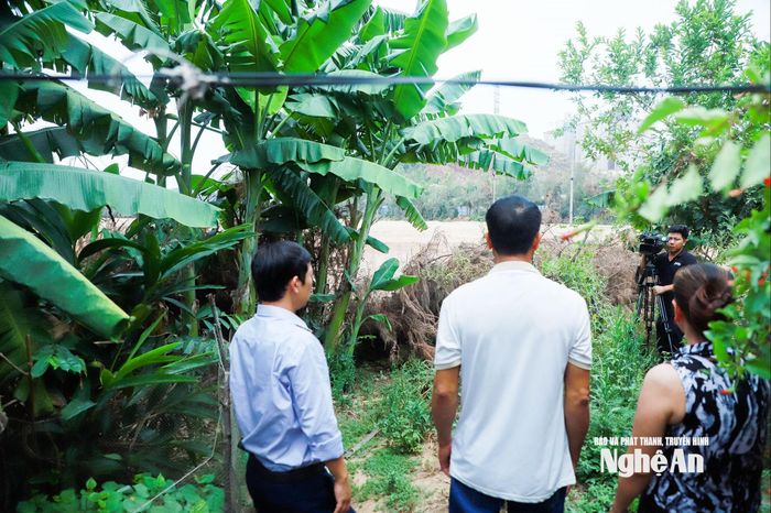 Gia đình anh Nguyễn Hoàng Hăng, xóm Quyết Tâm lo lắng độ cao khu hậu phương cảng cao hơn nhà ở sẽ gây nên ngập úng nên đề xuất được di dời. Ảnh: Thành Duy