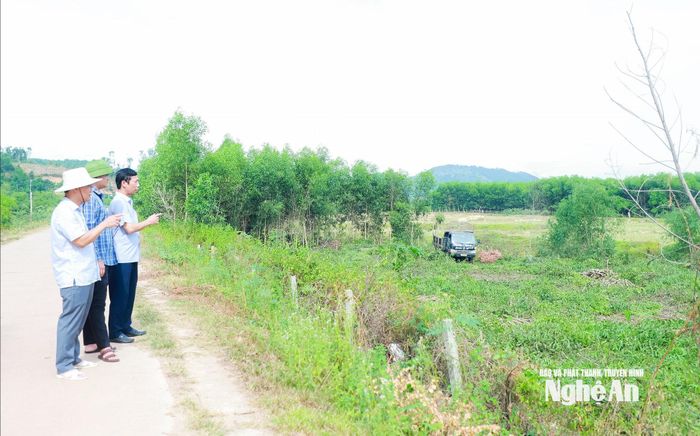 Vị trí đất nông nghiệp đoạn qua địa bàn xã Xuân Lâm đang cần rà soát lại để thực hiện công tác bồi thường, giải phóng mặt bằng. Ảnh: Thành Duy