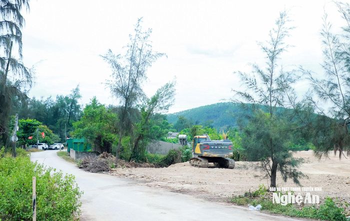 Một số hộ dân tại xóm Quyết Tiến, xã Hải Lộc nằm gần khu vực hậu phương cảng (giai đoạn 1), Dự án Cảng nước sâu Cửa Lò đề xuất di dời tái định cư. Ảnh: Thành Duy