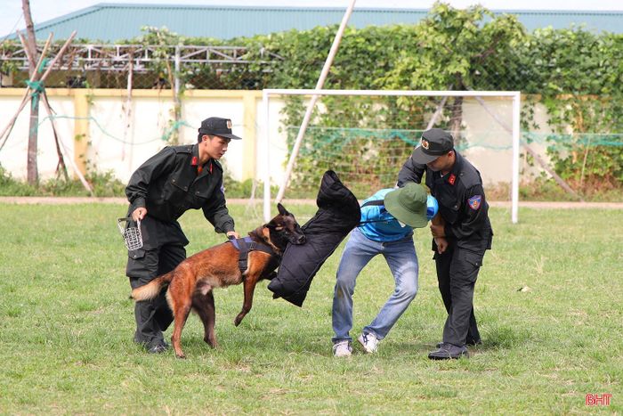 Nhờ được huấn luyện bài bản, trong nhiều chuyên án, cảnh khuyển trở thành lực lượng hỗ trợ đắc lực, phục vụ tốt công tác điều tra. Từ đầu năm 2026 tới nay, với sự tham gia chiến đấu của chó nghiệp vụ, Công an Hà Tĩnh đã bắt giữ 27 đối tượng phạm tội, thu giữ 69,23 gram heroin, 517,6 gram ma túy đá, 1800 viên hồng phiến, 37,92 gram methamphetamine, 4,91 gram ketamine.