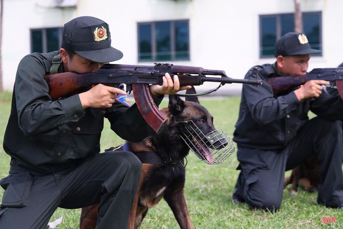 Cảnh khuyển luôn theo sát các chiến sĩ, thành thạo các kỹ năng chuyên sâu như phát hiện ma túy, thuốc nổ và hỗ trợ nhận diện, truy bắt tội phạm, sẵn sàng chiến đấu.
