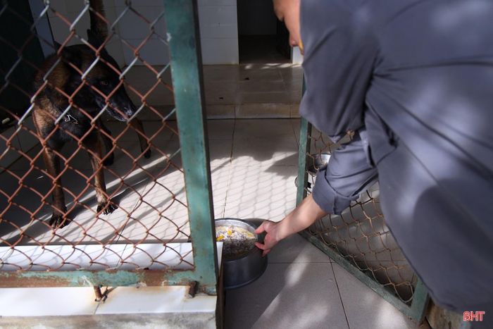 Chế độ dinh dưỡng nghiêm ngặt giúp các chú chó nghiệp vụ luôn duy trì trạng thái thể lực tốt nhất, sẵng sàng hỗ trợ phá án.