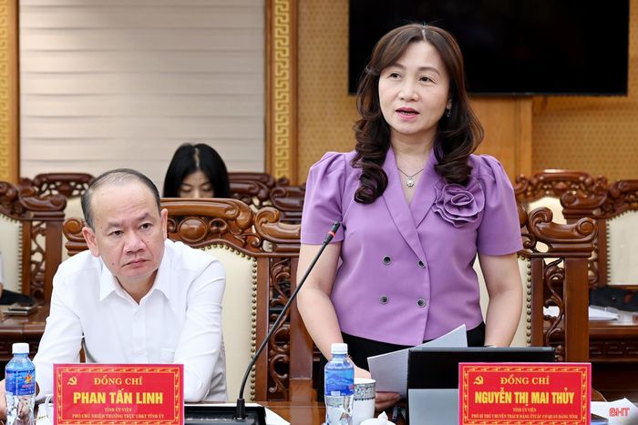 Đồng chí Nguyễn Thị Mai Thủy - Phó Bí thư chuyên trách Đảng ủy Các cơ quan Đảng tỉnh phát biểu tại buổi làm việc.