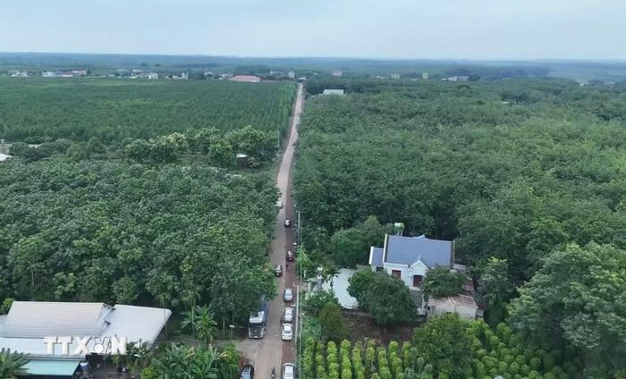 Tuyến đường NT8 giữ vai trò đặc biệt quan trọng trong định hướng phát triển của địa phương. (Ảnh: Đậu Tất Thành/TTXVN)