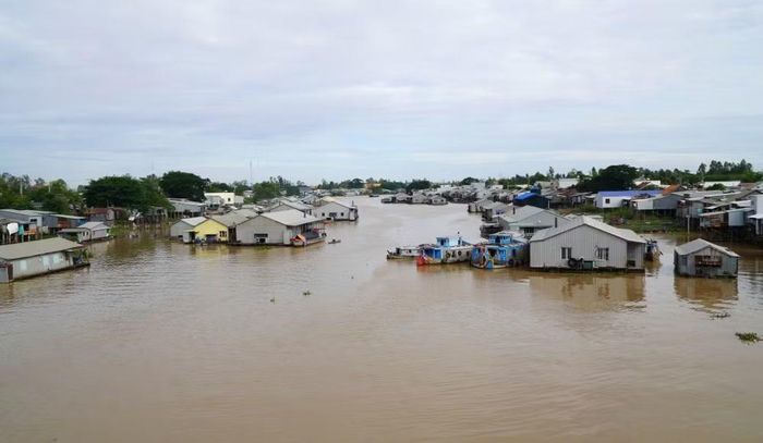 Nghề nuôi cá lồng bè truyền thống trên sông Sở Thượng, đoạn qua phường Hồng Ngự, tỉnh Đồng Tháp. (Ảnh: Nhựt An/TTXVN)