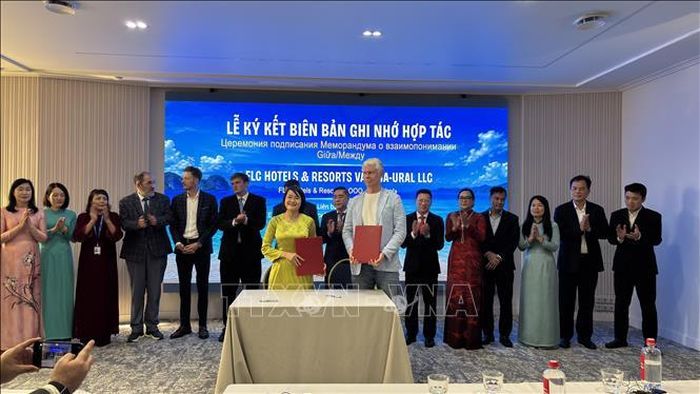 Doanh nghiệp hai bên ký MoU tại Hội nghị.