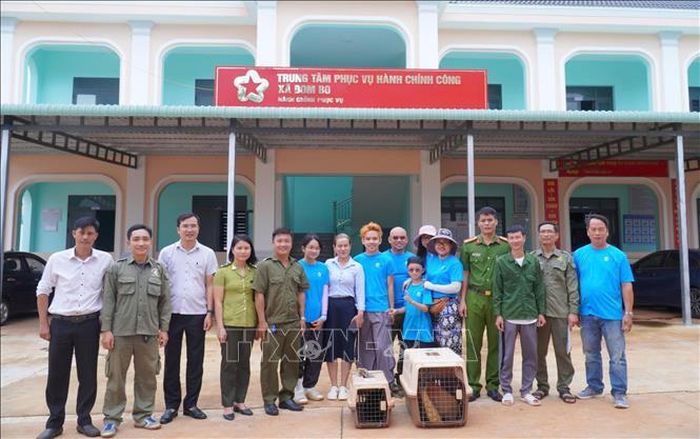 Phòng kinh tế xã Bom Bo đã phối hợp bàn giao 2 cá thể vượn cho Trung tâm Tuyên truyền, Du lịch và Cứu hộ, Bảo tồn thuộc Ban Quản lý Vườn quốc gia Bù Gia Mập để tiếp tục chăm sóc, phục hồi sức khỏe trước khi thả về môi trường tự nhiên.