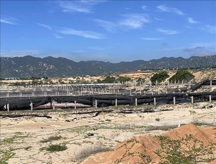 Đất xung quanh khu vực vùng lõi Nhà máy điện hạt nhân Ninh Thuận 1 (xã Phước Dinh) gặp khó khăn trong việc quy chủ, xác minh nguồn gốc. Ảnh: Công Thử/TTXVN