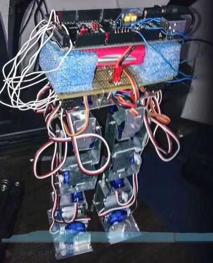 Robot tự chế đầu tiên từ 200 NDT của Vương Hưng Hưng. Ảnh: Sohu.