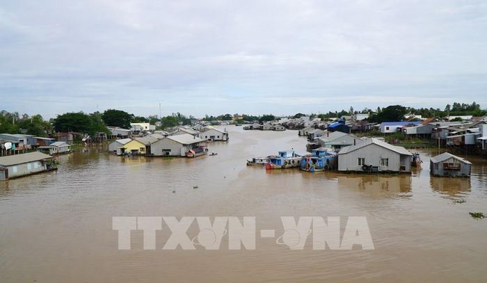 Nghề nuôi cá lồng bè truyền thống trên sông Sở Thượng, đoạn qua phường Hồng Ngự, tỉnh Đồng Tháp. Ảnh: Nhựt An - TTXVN