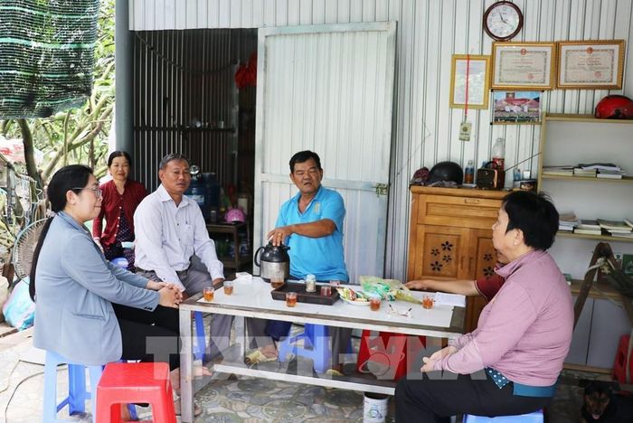 Ban Chủ nhiệm Hội quán bưởi da xanh Mỹ Phú, xã Mỹ Phong, tỉnh Đồng Tháp, trao đổi kinh nghiệm trồng bưởi. Ảnh: Hữu Chí - TTXVN
