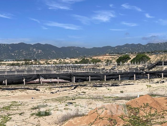 Đất xung quanh khu vực vùng lõi Nhà máy điện hạt nhân Ninh Thuận 1 (xã Phước Dinh) gặp khó khăn trong việc quy chủ, xác minh nguồn gốc. Ảnh: Công Thử - TTXVN 