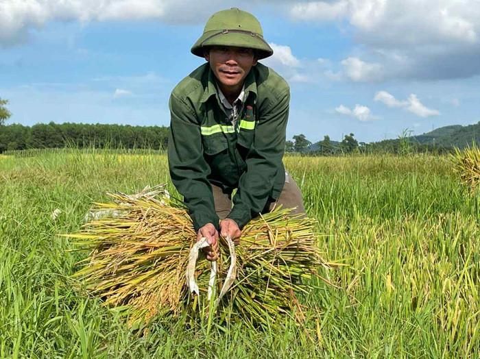 Người dân Nghệ An với sự mộc mạc, giản dị nhưng luôn ấm áp, nghĩa tình. Ảnh: báo Lao Động