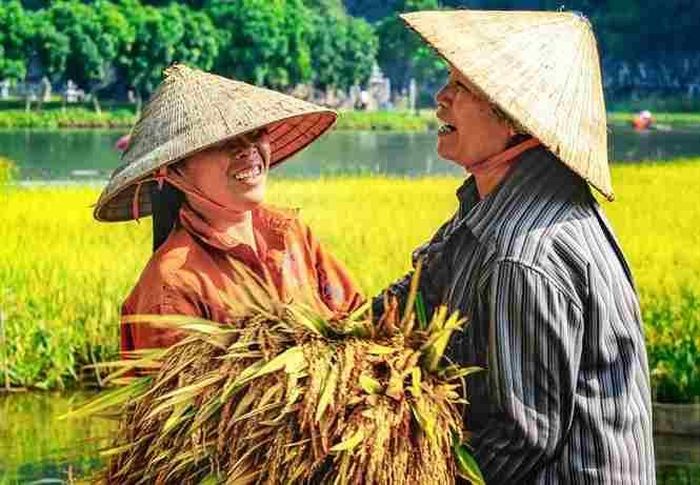 Người Ninh Bình từ lâu được biết đến với đức tính cần cù, chịu khó. Ảnh: Dân Việt