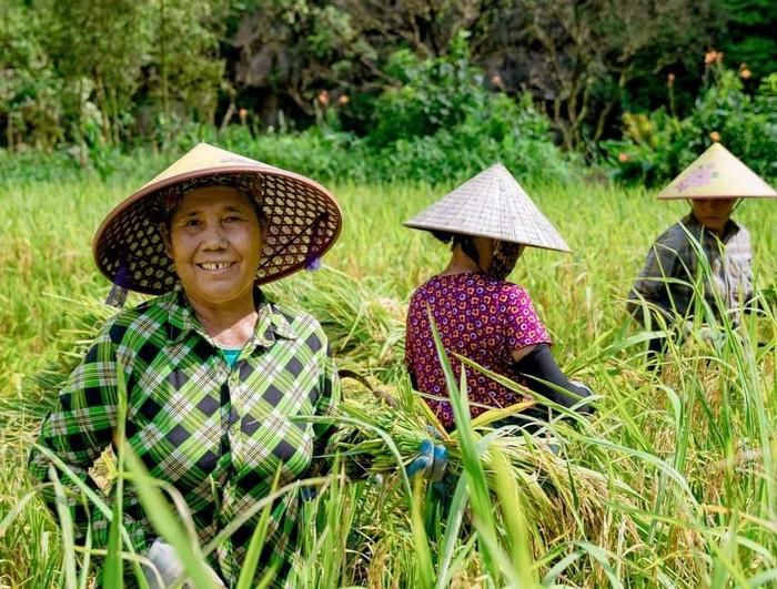 Nét giản dị của người dân Ninh Bình. Ảnh: báo Lao Động